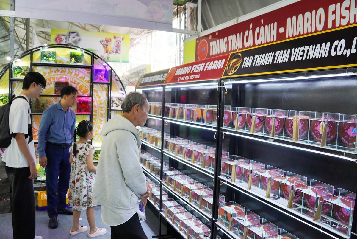 Khu sinh vật cảnh được trưng bày sinh động, thu hút khách tham quan. Ảnh: Nguyễn Thủy. Khu sinh vật cảnh được trưng bày sinh động, thu hút khách tham quan. Ảnh: Nguyễn Thủy.