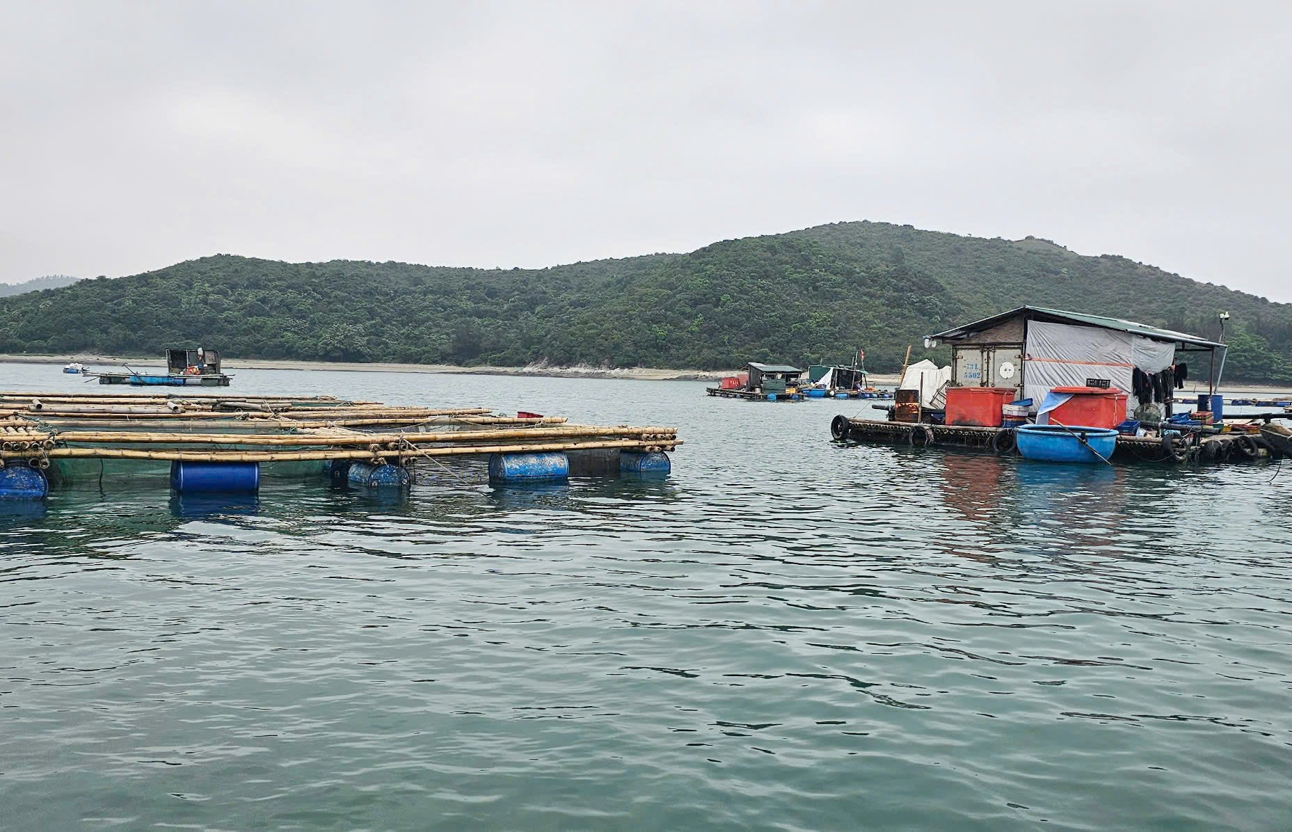 Tận dụng tiềm năng thế mạnh để phát triển nghề nuôi biển tại Quảng Bình. Ảnh: P.V. Tận dụng tiềm năng thế mạnh để phát triển nghề nuôi biển tại Quảng Bình. Ảnh: P.V.