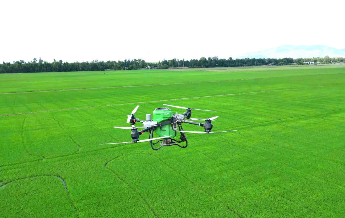 Máy bay không người lái (drone) Phú Mỹ bón phân đồng loạt trên cánh đồng lúa tại ĐBSCL, giúp tiết kiệm chi phí và giảm nhân công cho nông dân. Ảnh: Lê Hoàng Vũ. Máy bay không người lái (drone) Phú Mỹ bón phân đồng loạt trên cánh đồng lúa tại ĐBSCL, giúp tiết kiệm chi phí và giảm nhân công cho nông dân. Ảnh: Lê Hoàng Vũ.