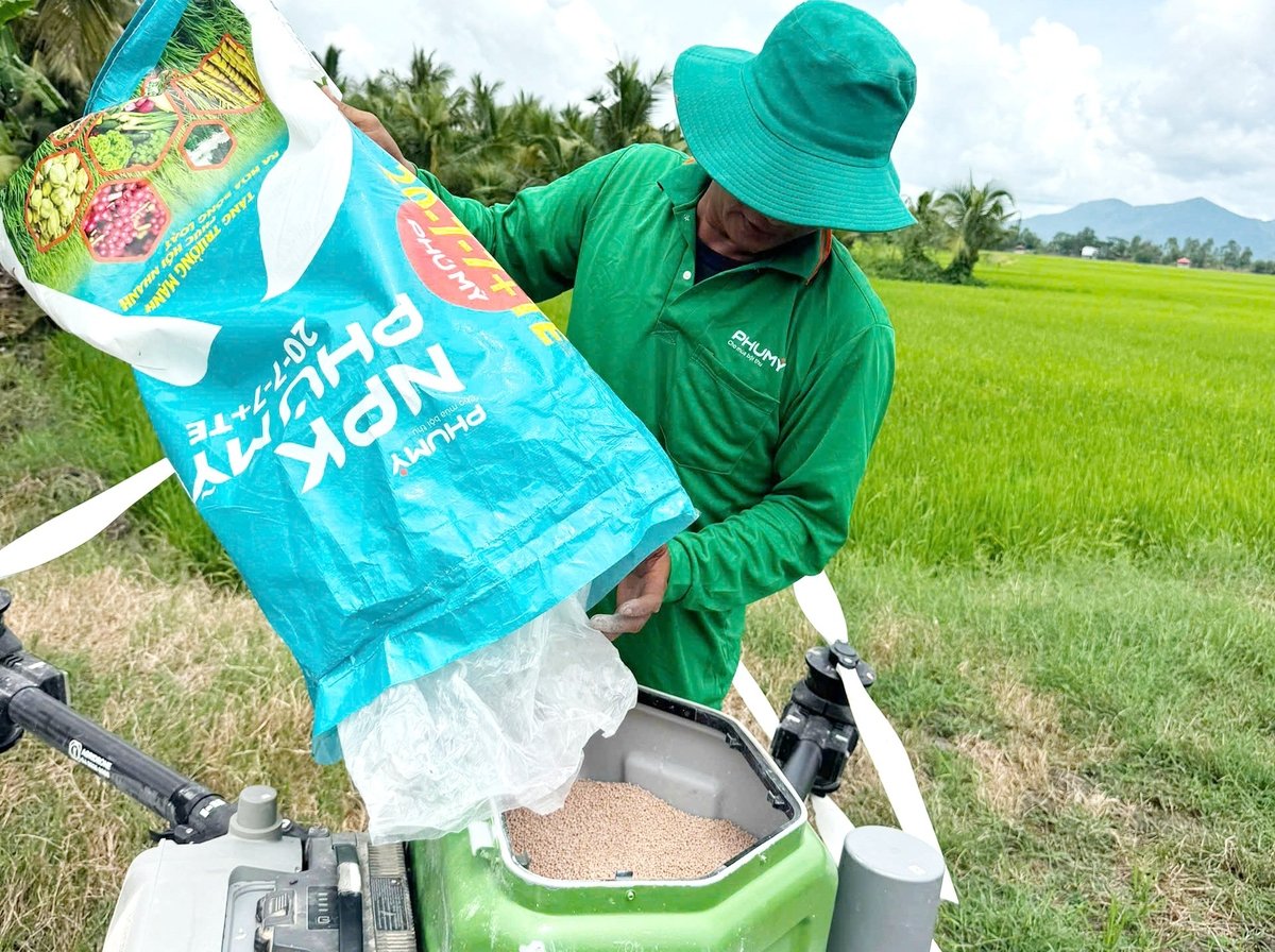 Nông dân ở Đồng Tháp phấn khởi trước trà lúa xanh tốt sau khi sử dụng dịch vụ drone Phú Mỹ trong vụ hè thu 2025. Ảnh: Lê Hoàng Vũ. Nông dân ở Đồng Tháp phấn khởi trước trà lúa xanh tốt sau khi sử dụng dịch vụ drone Phú Mỹ trong vụ hè thu 2025. Ảnh: Lê Hoàng Vũ.