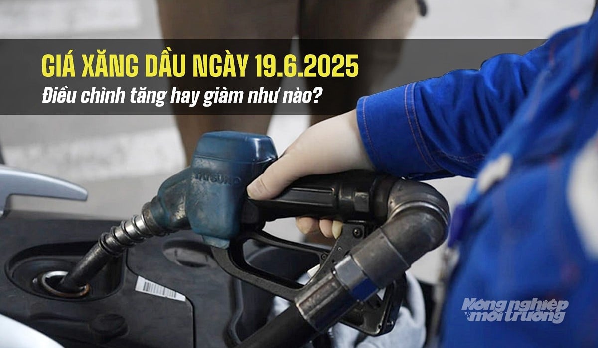 Cập nhật giá xăng dầu hôm nay 19/6/2025 sau phiên điều chỉnh Cập nhật giá xăng dầu hôm nay 19/6/2025 sau phiên điều chỉnh