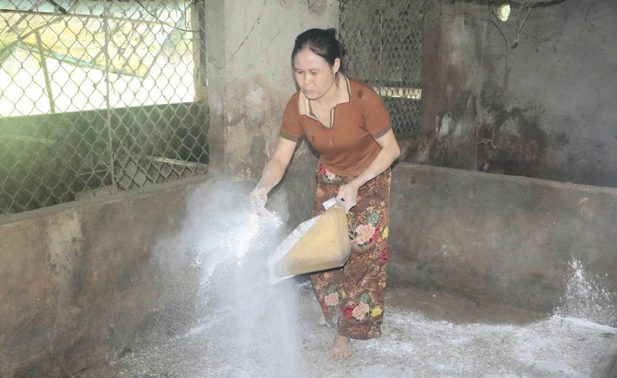 Dịch tả lợn Châu Phi đã kéo dài hơn 9 tháng. Ảnh: Thanh Nga. Dịch tả lợn Châu Phi đã kéo dài hơn 9 tháng. Ảnh: Thanh Nga.