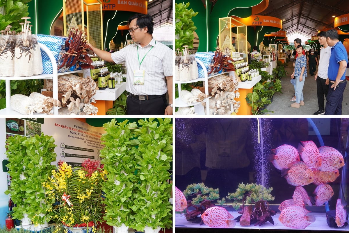 Gian trưng bày của Ban Quản lý Khu Nông nghiệp Công nghệ cao TP.HCM. Ảnh: Nguyễn Thủy. Gian trưng bày của Ban Quản lý Khu Nông nghiệp Công nghệ cao TP.HCM. Ảnh: Nguyễn Thủy.