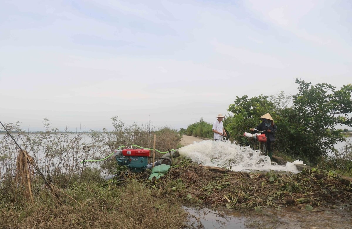 Các địa phương ở Trung Trung bộ đang nỗ lực tiêu úng cứu lúa bị ngập sau mưa lũ trái mùa. Ảnh: Văn Dinh. Các địa phương ở Trung Trung bộ đang nỗ lực tiêu úng cứu lúa bị ngập sau mưa lũ trái mùa. Ảnh: Văn Dinh.