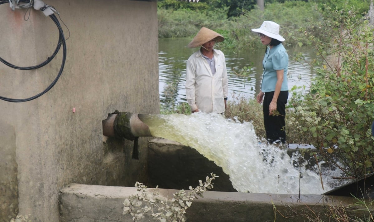 Bà Nguyễn Thị Thu Hương - Phó Cục trưởng Cục Trồng trọt và Bảo vệ thực vật trao đổi với người dân về giải pháp hạn chế ngập úng cho lúa trong mùa lũ. Ảnh: Văn Dinh. Bà Nguyễn Thị Thu Hương - Phó Cục trưởng Cục Trồng trọt và Bảo vệ thực vật trao đổi với người dân về giải pháp hạn chế ngập úng cho lúa trong mùa lũ. Ảnh: Văn Dinh.