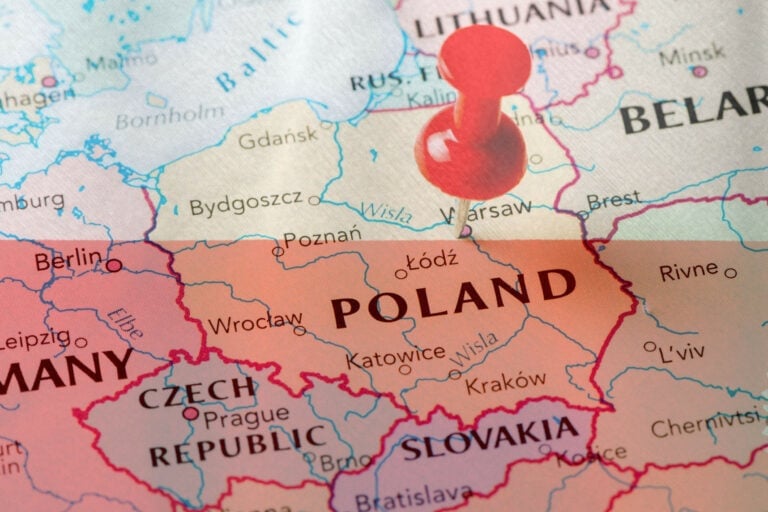 The recent bird flu and Newcastle disease outbreaks have also exposed a long-standing issue of overcapacity in Poland's poultry slaughtering and processing segment. Photo: Canva.