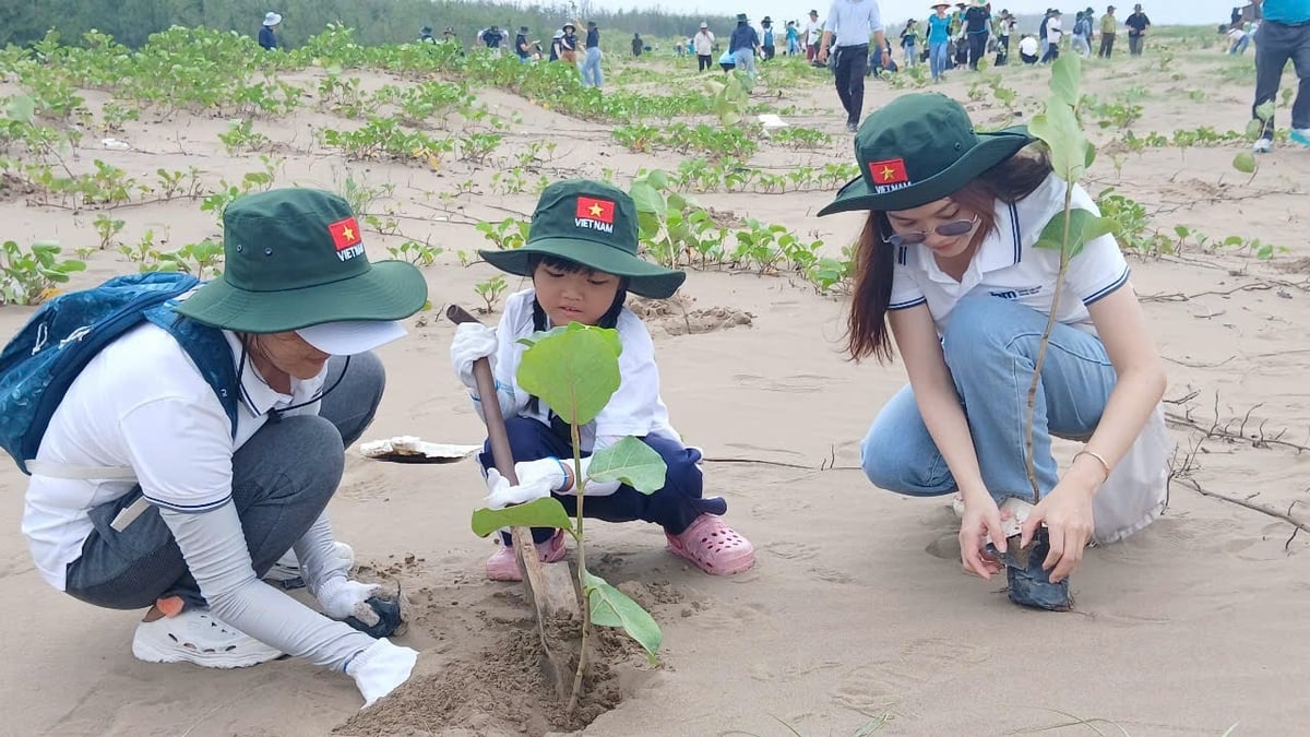 Du lịch kết hợp trồng rừng ven biển Thạnh Phú. Ảnh: Kiều Nhi. Du lịch kết hợp trồng rừng ven biển Thạnh Phú. Ảnh: Kiều Nhi.