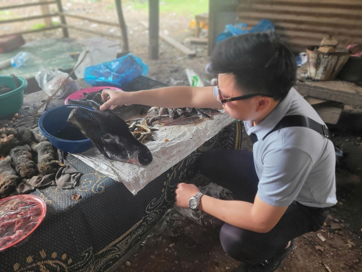 Nhà báo Hùng Võ tác nghiệp đề tài buôn bán, vận chuyển động vật hoang dã. Ảnh: NVCC. Nhà báo Hùng Võ tác nghiệp đề tài buôn bán, vận chuyển động vật hoang dã. Ảnh: NVCC.