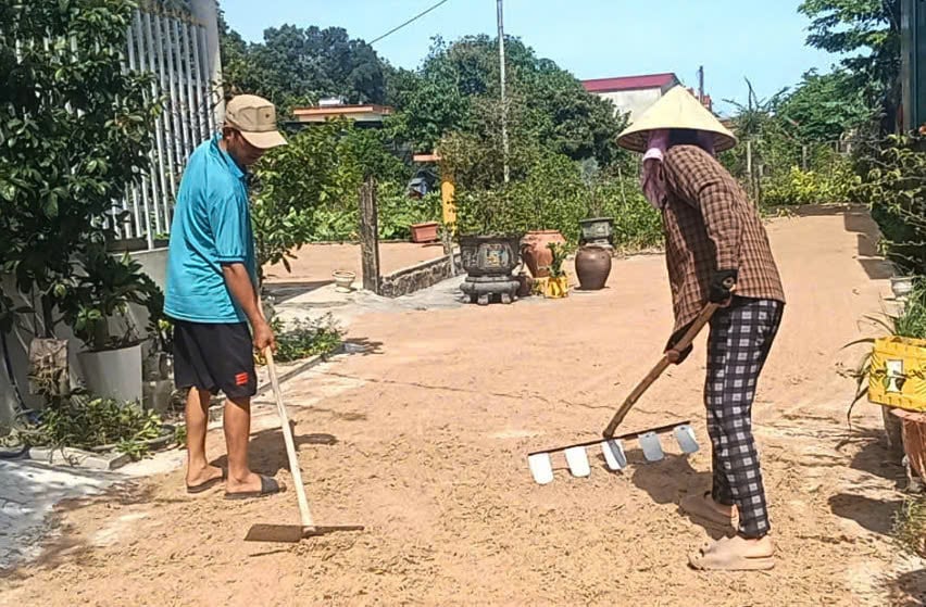 Lúa gặt đưa về phơi nhưng chất lượng kém nên chị Loan lo lắng khi tiêu thụ. Ảnh: T. Đức.