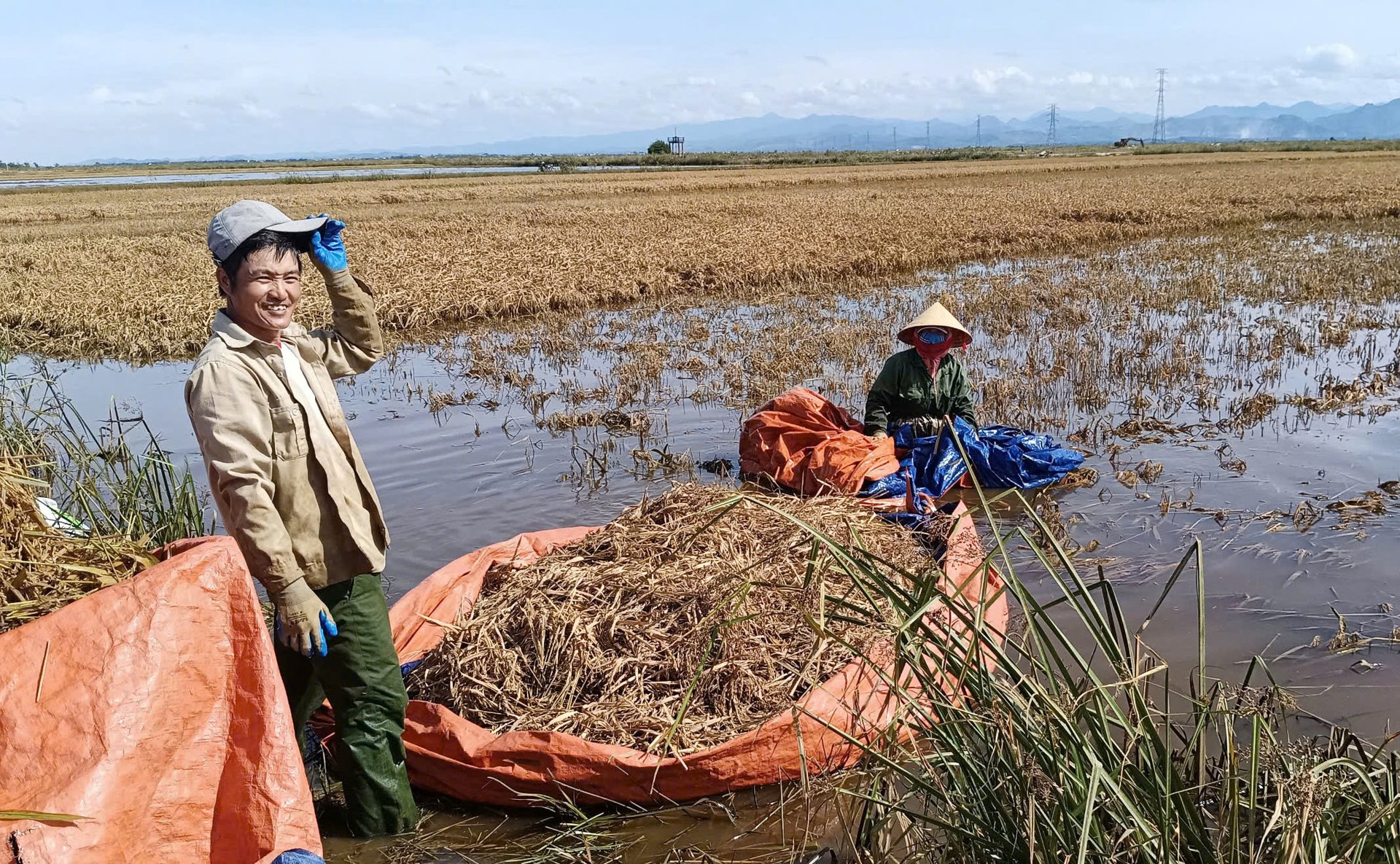 Nông dân xã Hồng Thuỷ gặt lúa trong nước lũ. Ảnh: T. Đức.