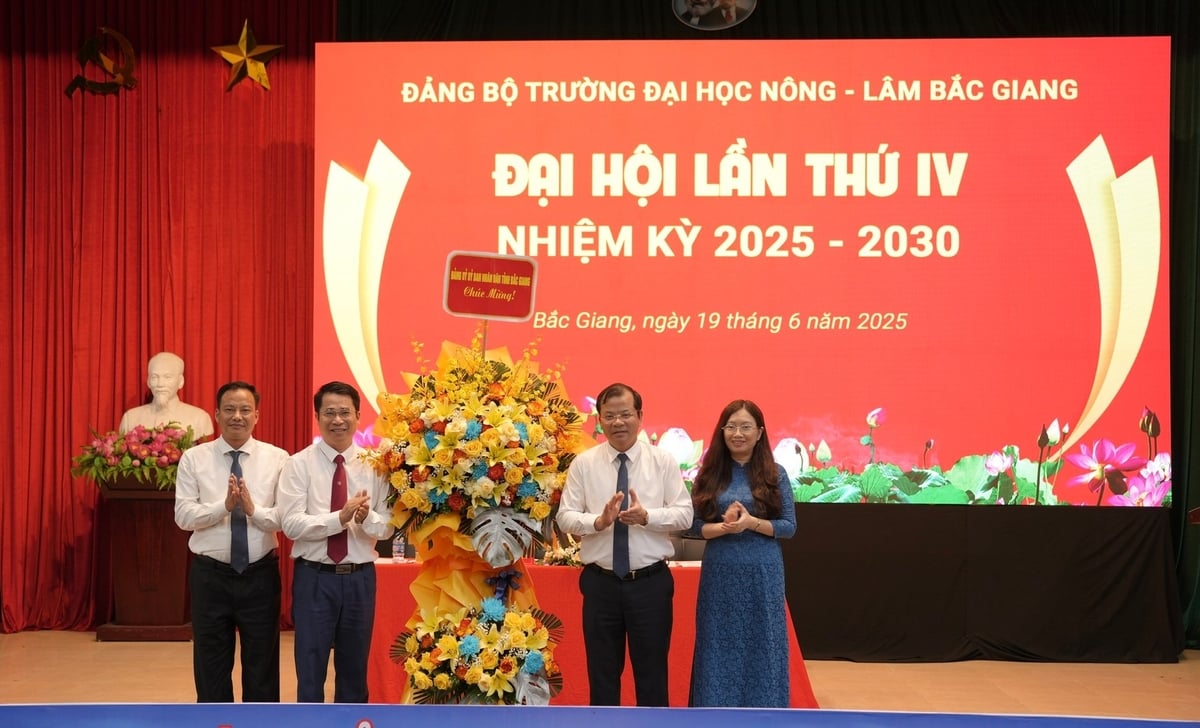 Phó Chủ tịch UBND tỉnh Bắc Giang Phan Thế Tuấn dự, tặng hoa chúc mừng Đại hội. Ảnh: Phạm Minh. Phó Chủ tịch UBND tỉnh Bắc Giang Phan Thế Tuấn dự, tặng hoa chúc mừng Đại hội. Ảnh: Phạm Minh.