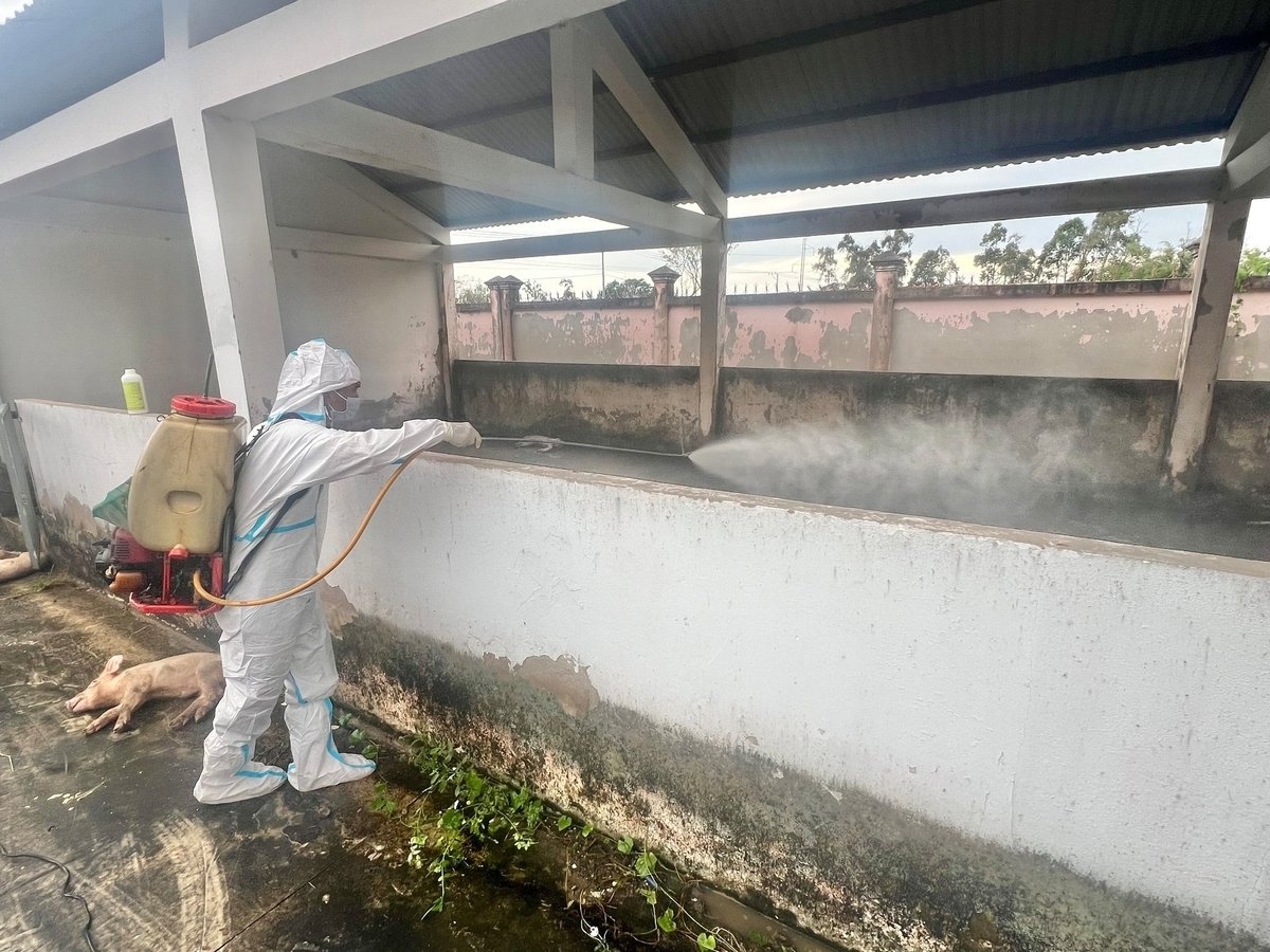 Ngành Chăn nuôi và Thú y tỉnh Bạc Liêu thực hiện biện pháp tiêu độc, khử trùng khu vực xung quanh trạm kiểm dịch. Ảnh: Trọng Linh. Ngành Chăn nuôi và Thú y tỉnh Bạc Liêu thực hiện biện pháp tiêu độc, khử trùng khu vực xung quanh trạm kiểm dịch. Ảnh: Trọng Linh.