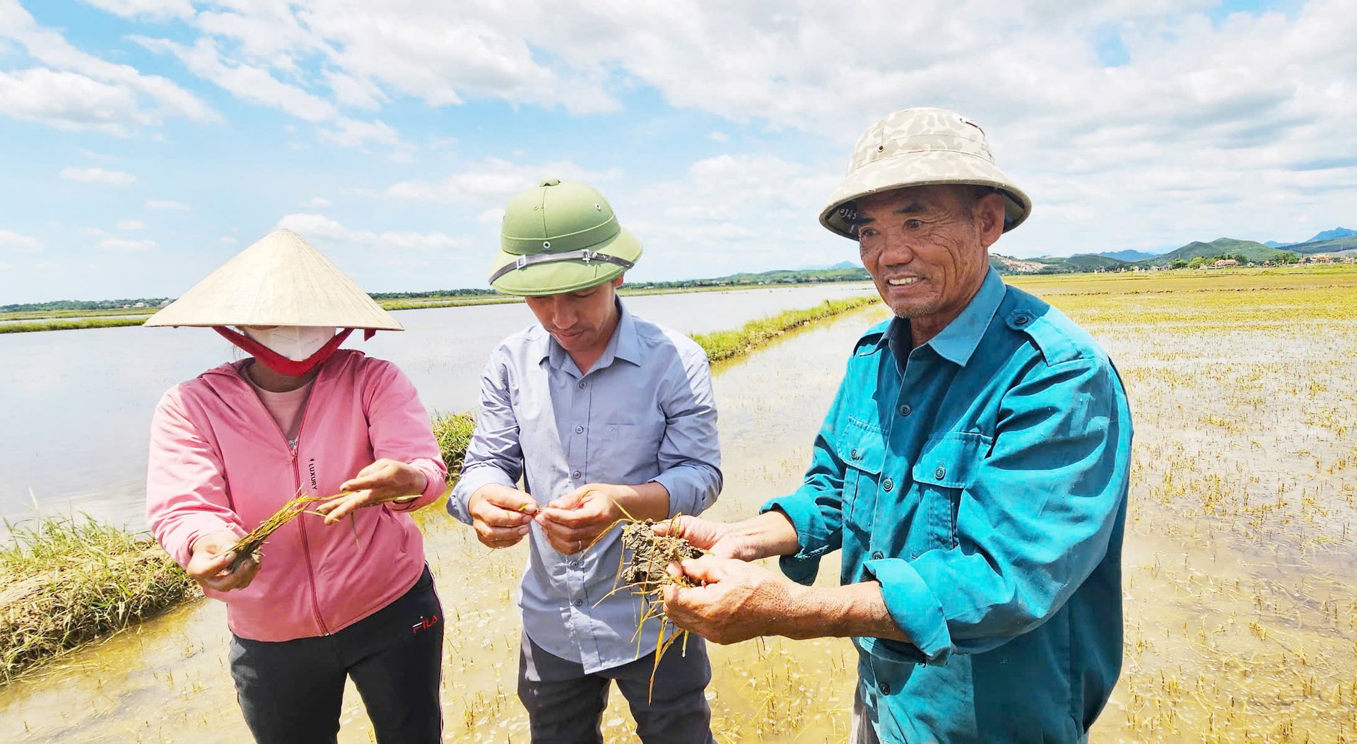 Ông Nguyễn Đức Thảnh (bìa phải) cho biết lúa bắt đầu thối rễ và úa lá. Ảnh: T. Đức. Ông Nguyễn Đức Thảnh (bìa phải) cho biết lúa bắt đầu thối rễ và úa lá. Ảnh: T. Đức.