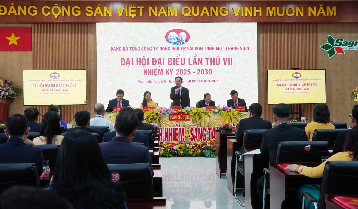 Đại hội đại biểu Đảng bộ lần thứ VII, nhiệm kỳ 2025 - 2030 Tổng Công ty Nông nghiệp Sài Gòn TNHH Một thành viên (Sagri). Ảnh: Nguyễn Thủy. Đại hội đại biểu Đảng bộ lần thứ VII, nhiệm kỳ 2025 - 2030 Tổng Công ty Nông nghiệp Sài Gòn TNHH Một thành viên (Sagri). Ảnh: Nguyễn Thủy.