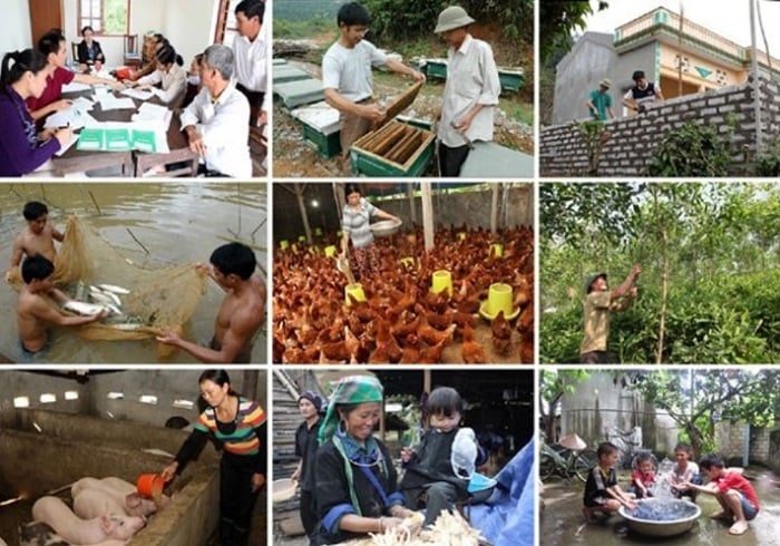 Chương trình đã triển khai trên 11.000 mô hình giảm nghèo, trong đó hơn 10.000 mô hình liên quan đến sản xuất nông nghiệp. Ảnh minh họa. Chương trình đã triển khai trên 11.000 mô hình giảm nghèo, trong đó hơn 10.000 mô hình liên quan đến sản xuất nông nghiệp. Ảnh minh họa.