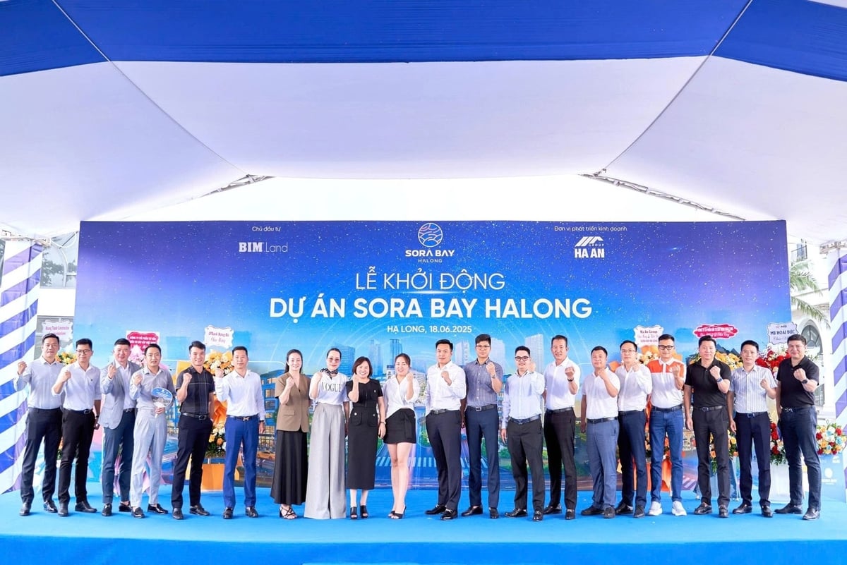 Các đơn vị phân phối chính thức dự án Sora Bay Halong. Ảnh: BIM Land. Các đơn vị phân phối chính thức dự án Sora Bay Halong. Ảnh: BIM Land.