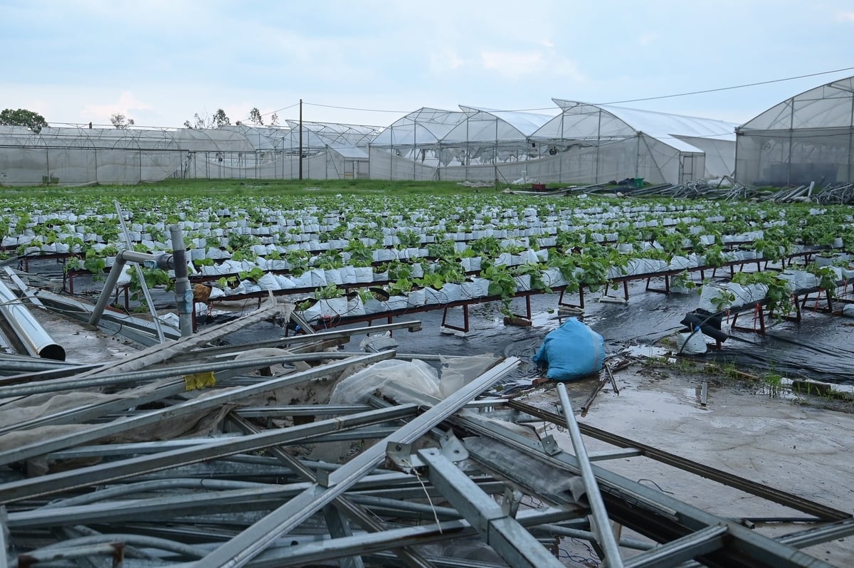 Bão số 3 năm 2024 tàn phá khu vực đầu tư phát triển nông nghiệp công nghệ cao tại Bắc Giang. Ảnh: Tùng Đinh. Bão số 3 năm 2024 tàn phá khu vực đầu tư phát triển nông nghiệp công nghệ cao tại Bắc Giang. Ảnh: Tùng Đinh.