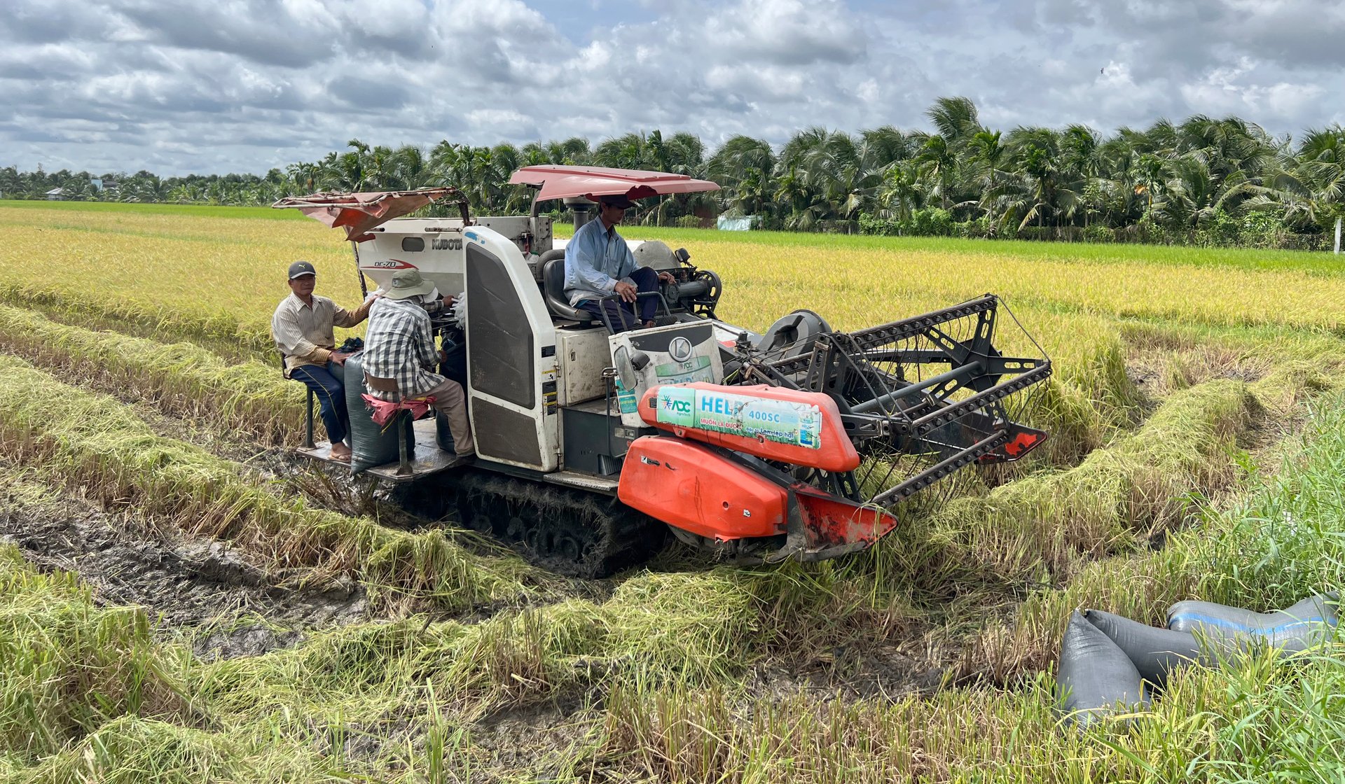 Nông nghiệp Bến Tre phát triển theo hướng bền vững. Ảnh: Thanh Bạch. Nông nghiệp Bến Tre phát triển theo hướng bền vững. Ảnh: Thanh Bạch.