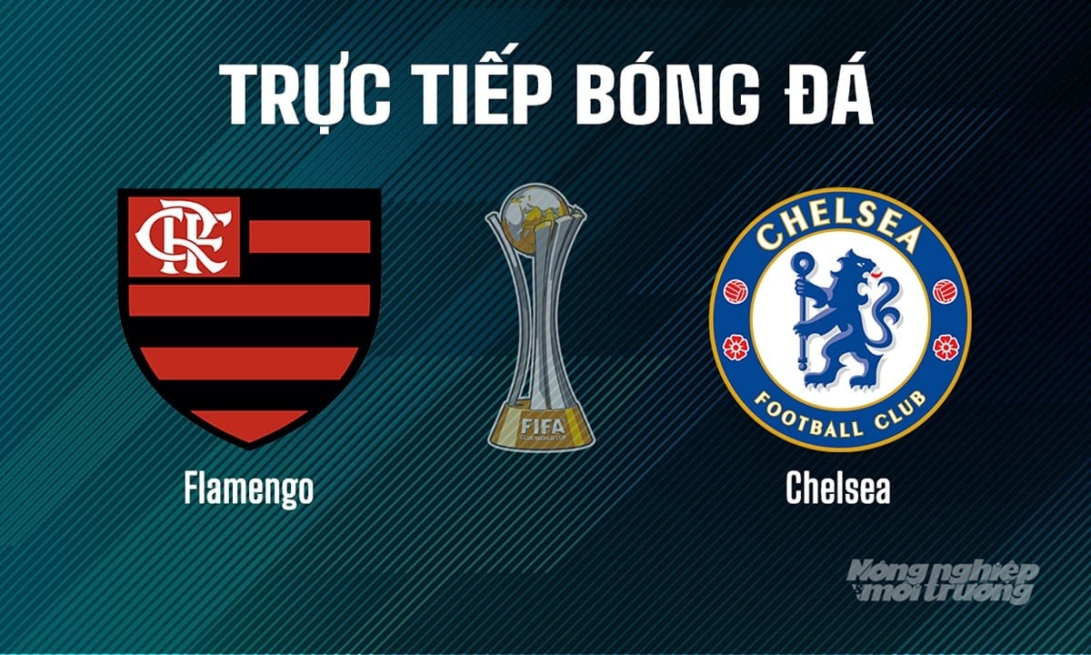 Trực tiếp bóng đá giải FIFA Club World Cup 2025 giữa Flamengo vs Chelsea ngày 21/6/2025 Trực tiếp bóng đá giải FIFA Club World Cup 2025 giữa Flamengo vs Chelsea ngày 21/6/2025