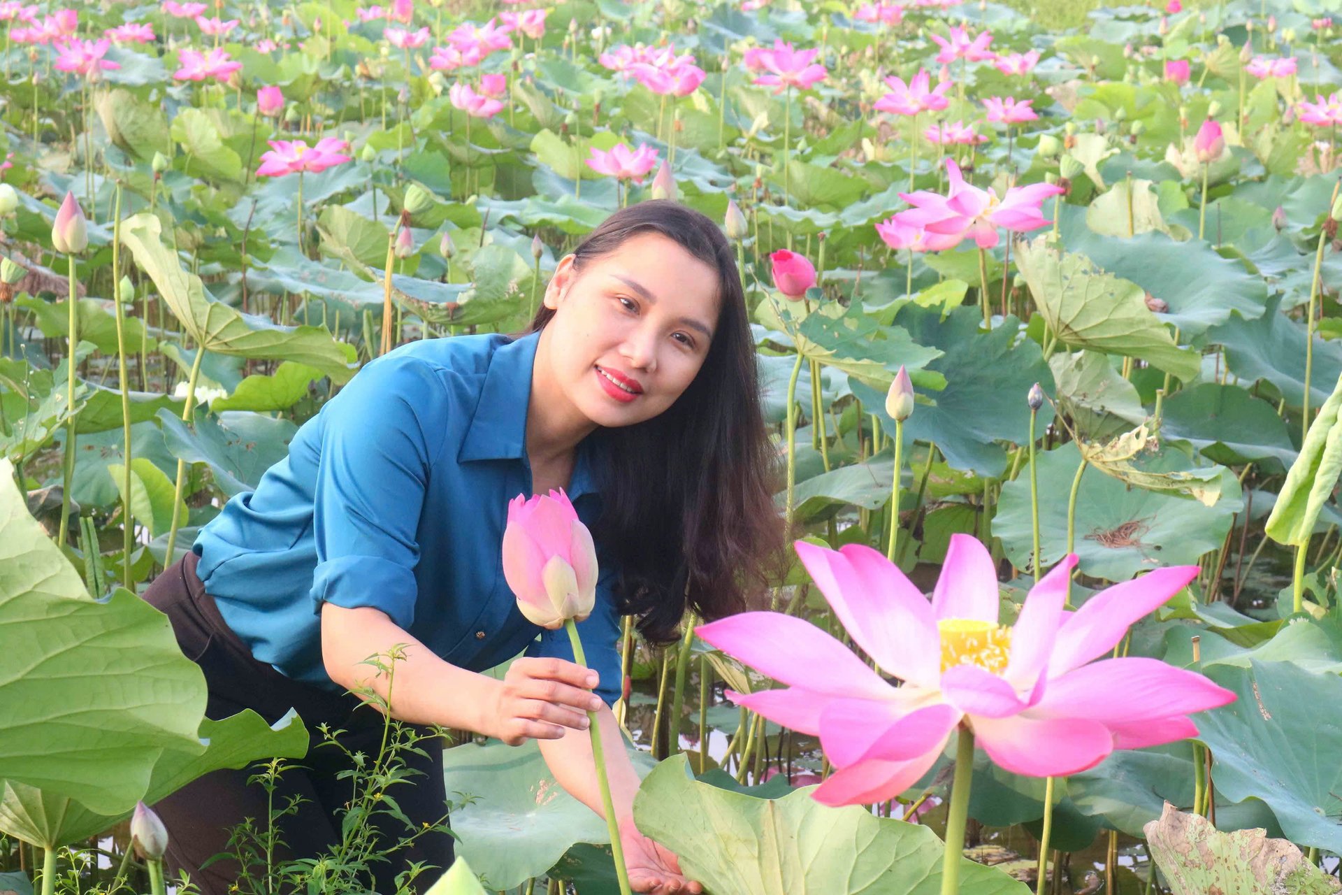 Du khách tham quan Khu Di tích Kim Liên chụp ảnh cùng hoa sen quê Bác. Ảnh: Huy Thư. Du khách tham quan Khu Di tích Kim Liên chụp ảnh cùng hoa sen quê Bác. Ảnh: Huy Thư.