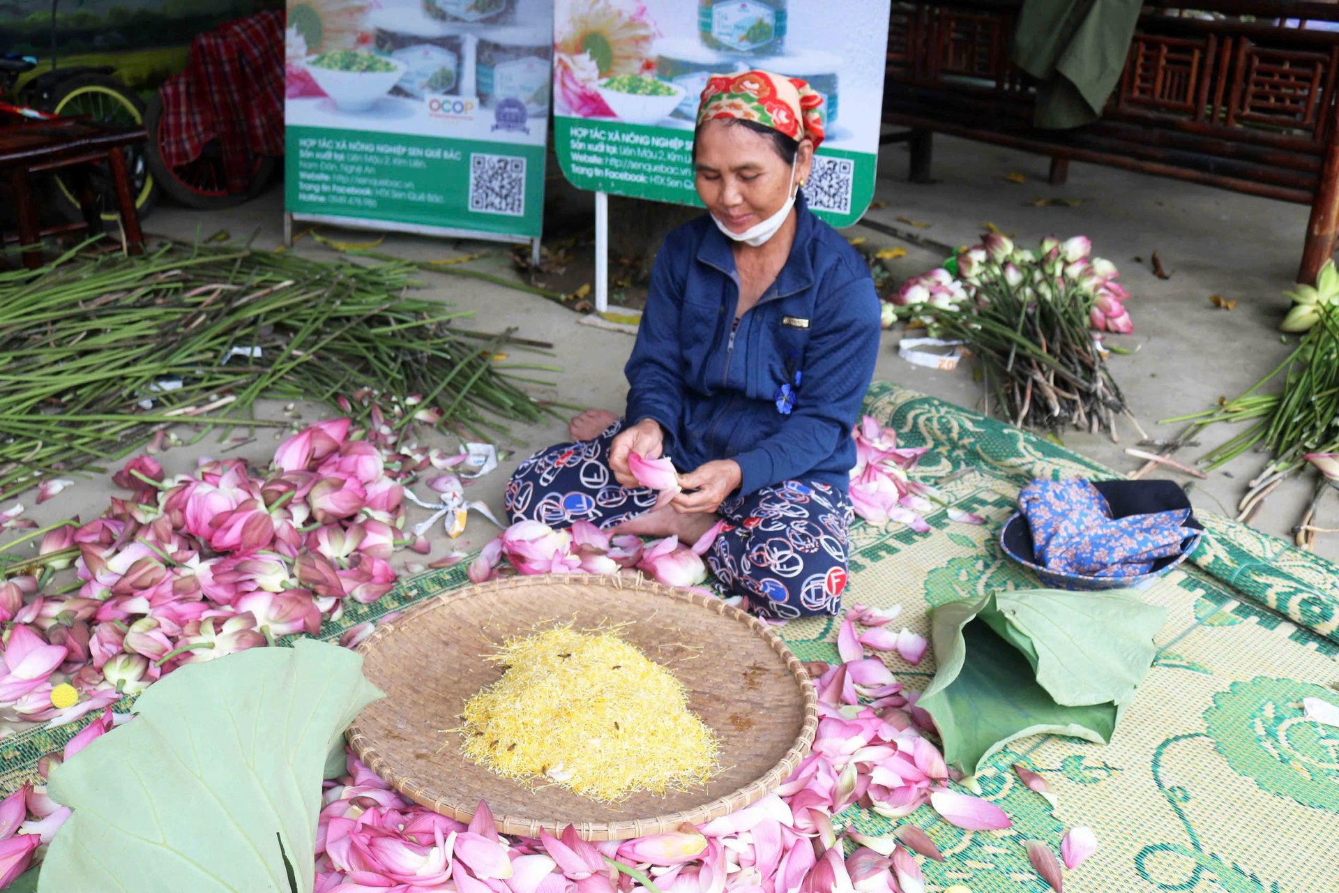 Sen ở Kim Liên tạo nên nhiều sản phẩm đặc sản chất lượng. Ảnh: Huy Thư. Sen ở Kim Liên tạo nên nhiều sản phẩm đặc sản chất lượng. Ảnh: Huy Thư.