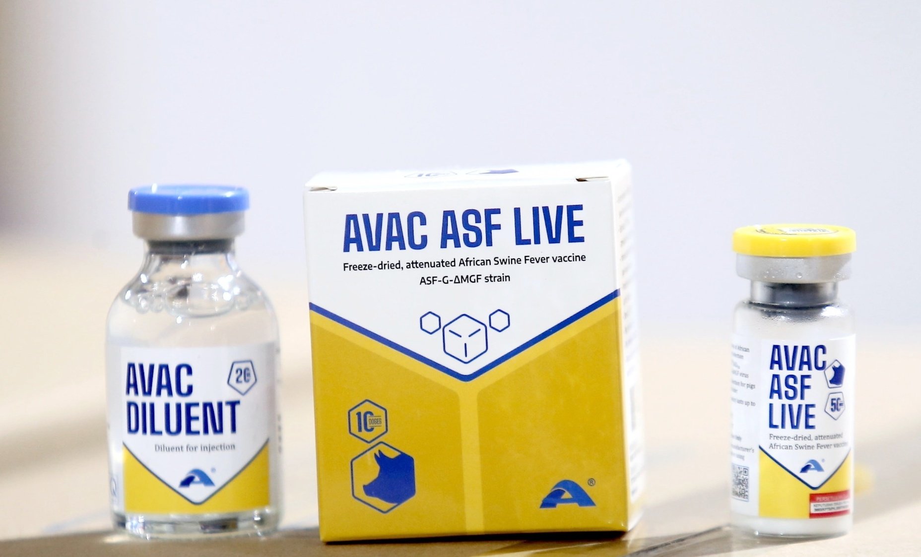 Người chăn nuôi cần lưu ý chỉ sử dụng vaccine ASF đã được cấp phép lưu hành chính thức. Ảnh: Hồng Thắm. Người chăn nuôi cần lưu ý chỉ sử dụng vaccine ASF đã được cấp phép lưu hành chính thức. Ảnh: Hồng Thắm.