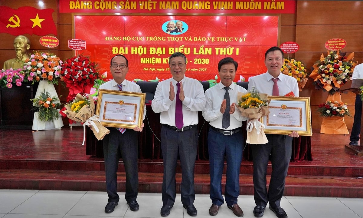 Đồng chí Huỳnh Tấn Đạt và Lê Văn Thiệt nhận bằng khen của Đảng bộ Khối các cơ quan Trung ương vì thành tích hoàn thành xuất sắc nhiệm vụ 5 năm liền 2020-2024. Ảnh: Bảo Thắng. Đồng chí Huỳnh Tấn Đạt và Lê Văn Thiệt nhận bằng khen của Đảng bộ Khối các cơ quan Trung ương vì thành tích hoàn thành xuất sắc nhiệm vụ 5 năm liền 2020-2024. Ảnh: Bảo Thắng.