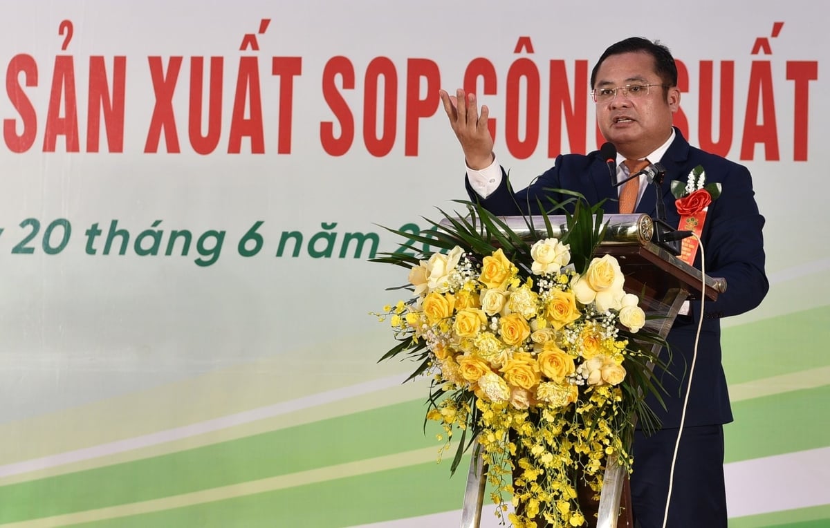 Ông Phùng Quang Hiệp - Chủ tịch Tập đoàn Hóa chất Việt Nam. Ảnh: Dương Đình Tường. Ông Phùng Quang Hiệp - Chủ tịch Tập đoàn Hóa chất Việt Nam. Ảnh: Dương Đình Tường.