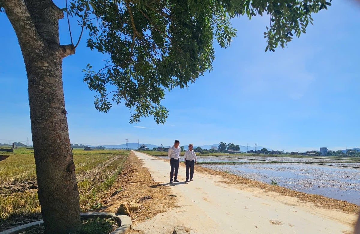 Hai năm qua, Thường Nga đã đầu tư 9 tỷ đồng cho giao thông nội đồng, tất cả từ nguồn ngân sách nhà nước. Ảnh: Sơn Minh. Hai năm qua, Thường Nga đã đầu tư 9 tỷ đồng cho giao thông nội đồng, tất cả từ nguồn ngân sách nhà nước. Ảnh: Sơn Minh.