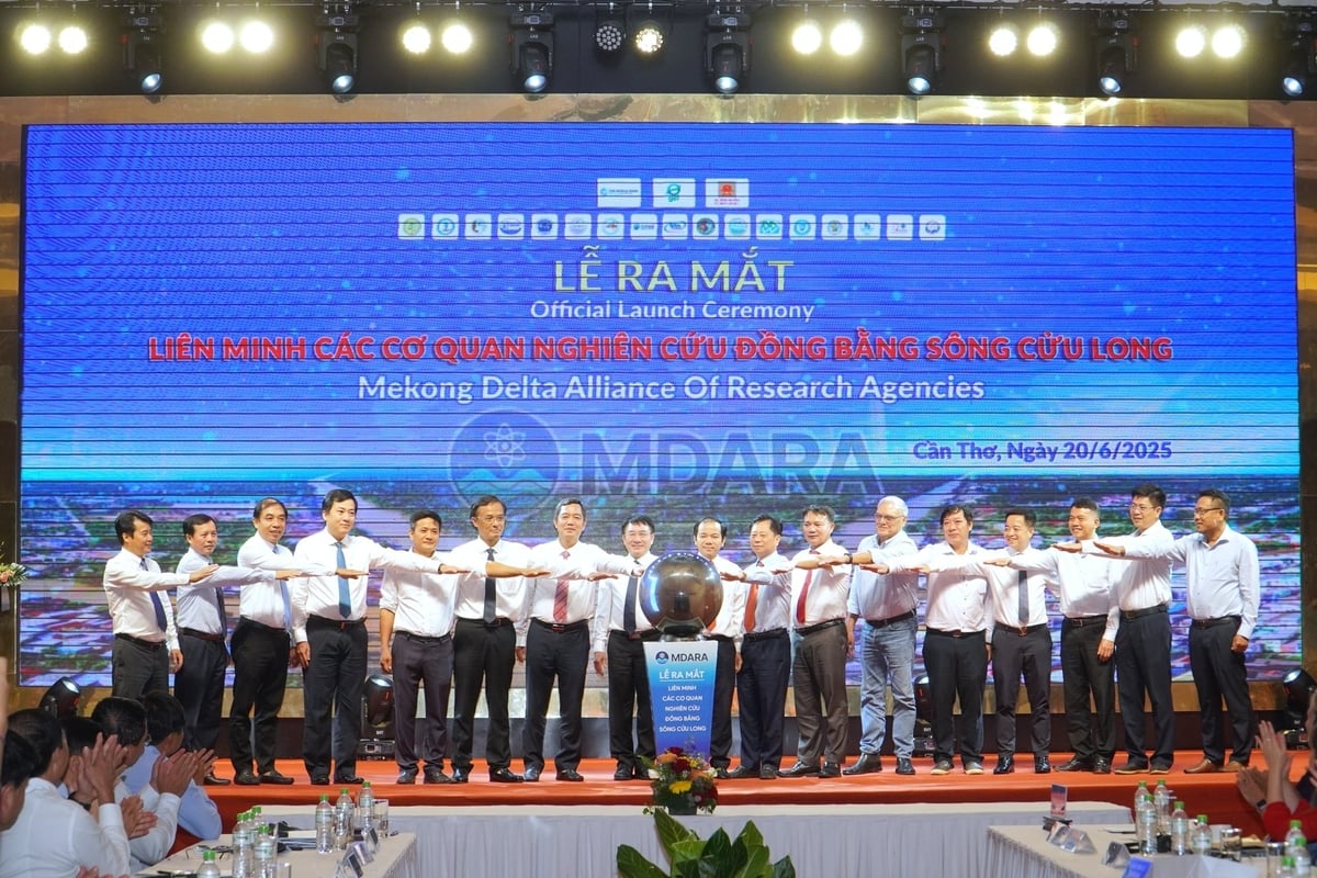 Liên minh các cơ quan nghiên cứu ĐBSCL đóng vai trò là một nền tảng trung lập, khách quan, khoa học và linh hoạt, nhằm huy động, phát huy sức mạnh tổng hợp của hệ thống tri thức phục vụ phát triển vùng. Ảnh: Kim Anh. Liên minh các cơ quan nghiên cứu ĐBSCL đóng vai trò là một nền tảng trung lập, khách quan, khoa học và linh hoạt, nhằm huy động, phát huy sức mạnh tổng hợp của hệ thống tri thức phục vụ phát triển vùng. Ảnh: Kim Anh.