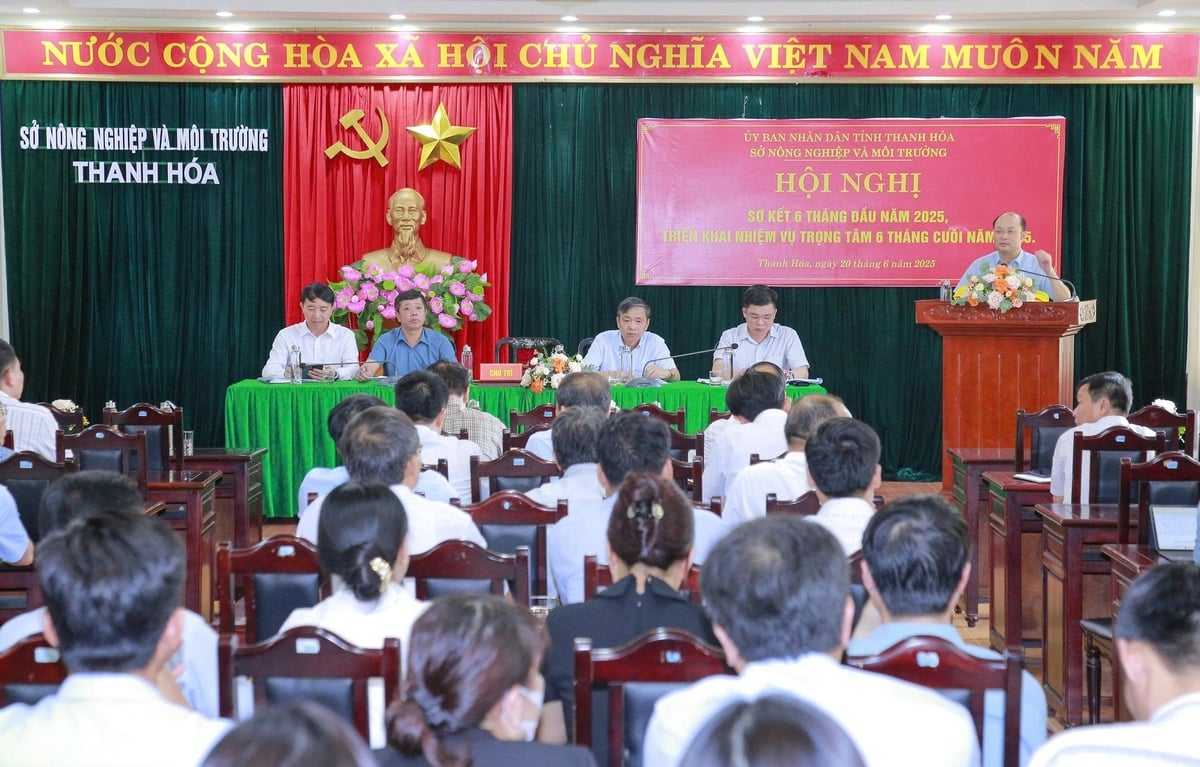 Toàn cảnh hội nghị triển khai nhiệm vụ trọng tâm 6 tháng cuối năm 2025 ngành Nông nghiệp và Môi trường tỉnh Thanh Hóa. Ảnh: Lê Hợi. Toàn cảnh hội nghị triển khai nhiệm vụ trọng tâm 6 tháng cuối năm 2025 ngành Nông nghiệp và Môi trường tỉnh Thanh Hóa. Ảnh: Lê Hợi.