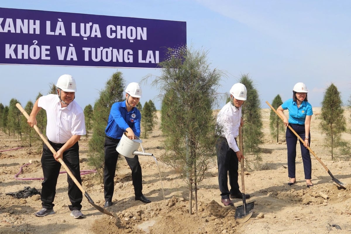 Lãnh đạo Nhà máy Nhiệt điện Vĩnh Tân 4 cho biết, đến nay Nhà máy đã trồng hơn 25.000 cây xanh. Ảnh: Vĩnh Tân 4. Lãnh đạo Nhà máy Nhiệt điện Vĩnh Tân 4 cho biết, đến nay Nhà máy đã trồng hơn 25.000 cây xanh. Ảnh: Vĩnh Tân 4.