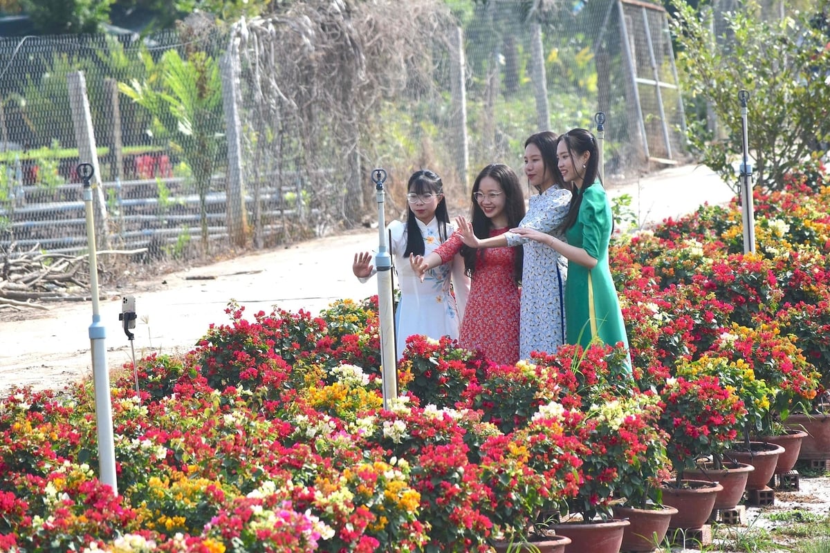 Khách du lịch đến Làng du lịch Văn hóa Chợ Lách. Ảnh: Minh Đảm. Khách du lịch đến Làng du lịch Văn hóa Chợ Lách. Ảnh: Minh Đảm.