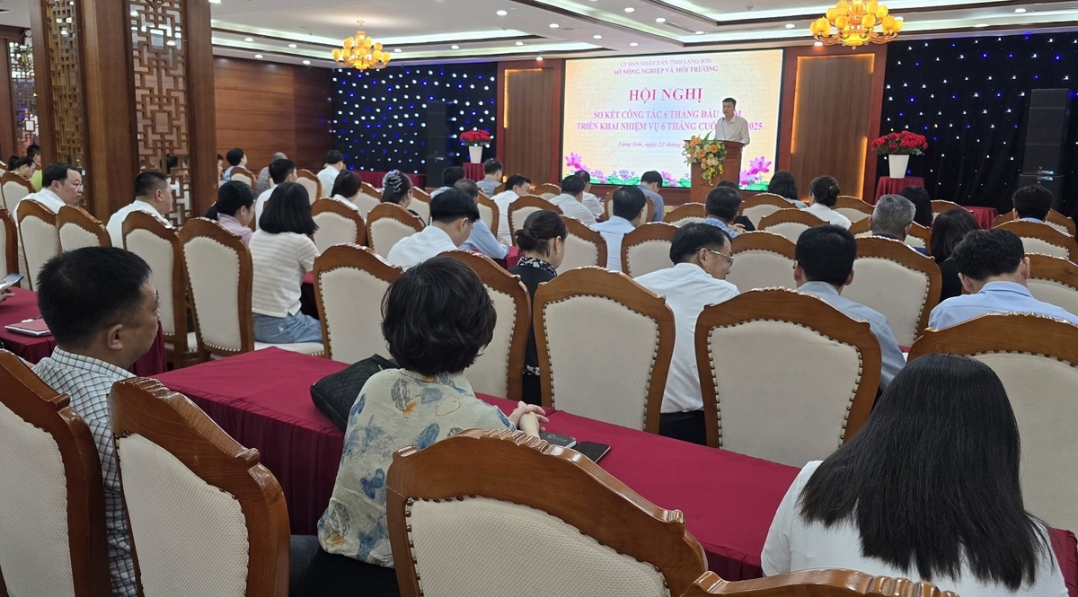 Ngành NN-MT Lạng Sơn tiếp tục thực hiện nghiêm túc chủ đề 'Siết chặt kỷ cương, tăng cường trách nhiệm, quyết liệt hành động, tăng tốc bứt phá' để hoàn thành nhiệm vụ năm. Ảnh: Hoàng Nghĩa. Ngành NN-MT Lạng Sơn tiếp tục thực hiện nghiêm túc chủ đề 'Siết chặt kỷ cương, tăng cường trách nhiệm, quyết liệt hành động, tăng tốc bứt phá' để hoàn thành nhiệm vụ năm. Ảnh: Hoàng Nghĩa.