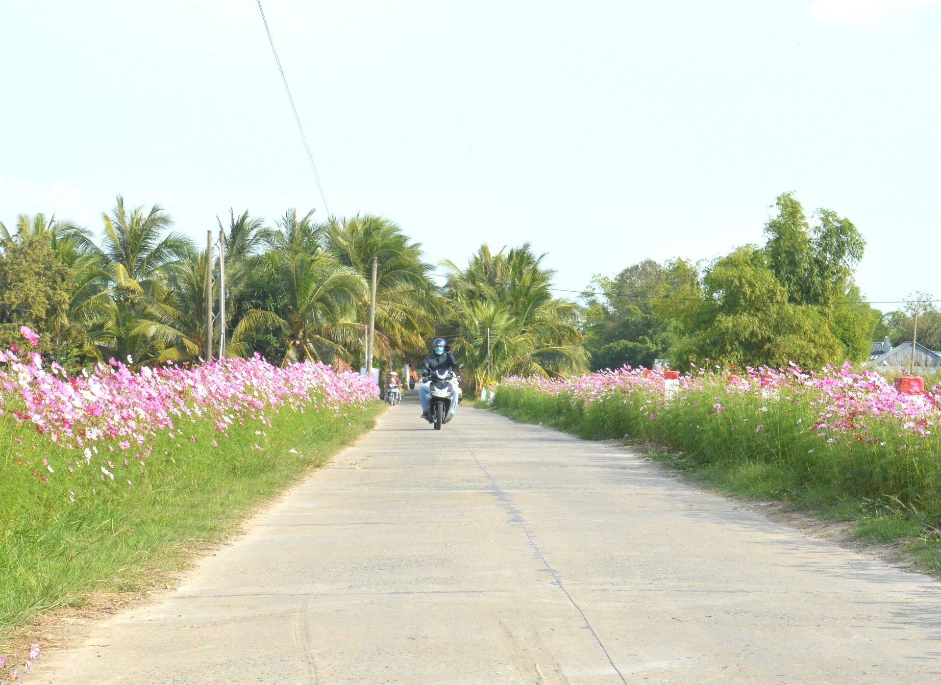 Chương trình mục tiêu quốc gia xây dựng nông thôn mới đã làm thay đổi căn bản diện mạo nông thôn tỉnh Kiên Giang, với những tuyến đường giao thông nông thôn rực rỡ sắc hoa. Ảnh: Trung Chánh. Chương trình mục tiêu quốc gia xây dựng nông thôn mới đã làm thay đổi căn bản diện mạo nông thôn tỉnh Kiên Giang, với những tuyến đường giao thông nông thôn rực rỡ sắc hoa. Ảnh: Trung Chánh.
