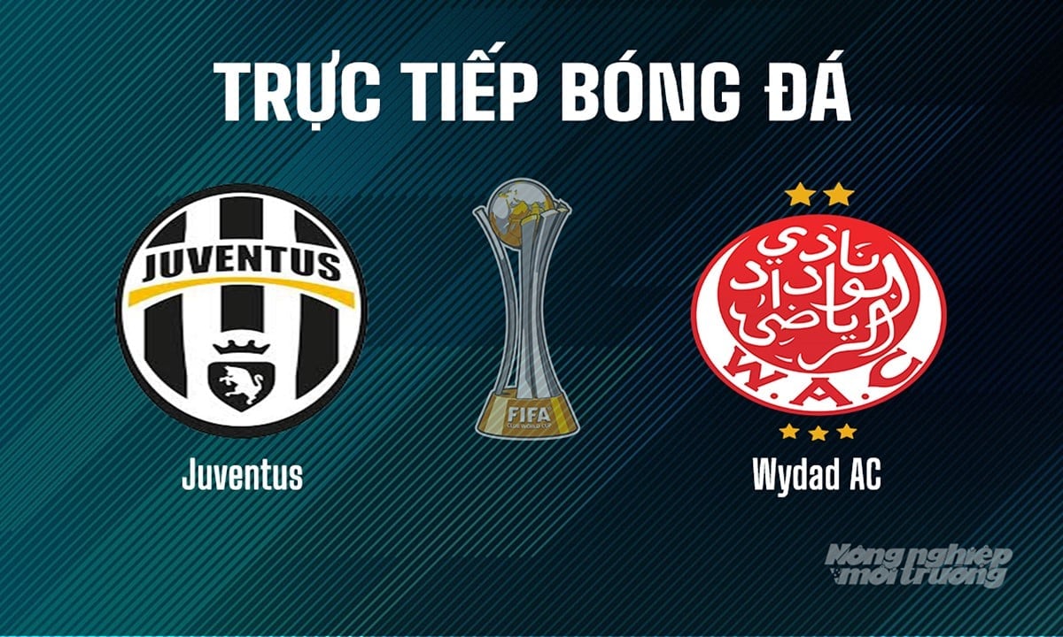 Trực tiếp bóng đá giải FIFA Club World Cup 2025 giữa Juventus vs Wydad AC hôm nay 22/6/2025 Trực tiếp bóng đá giải FIFA Club World Cup 2025 giữa Juventus vs Wydad AC hôm nay 22/6/2025