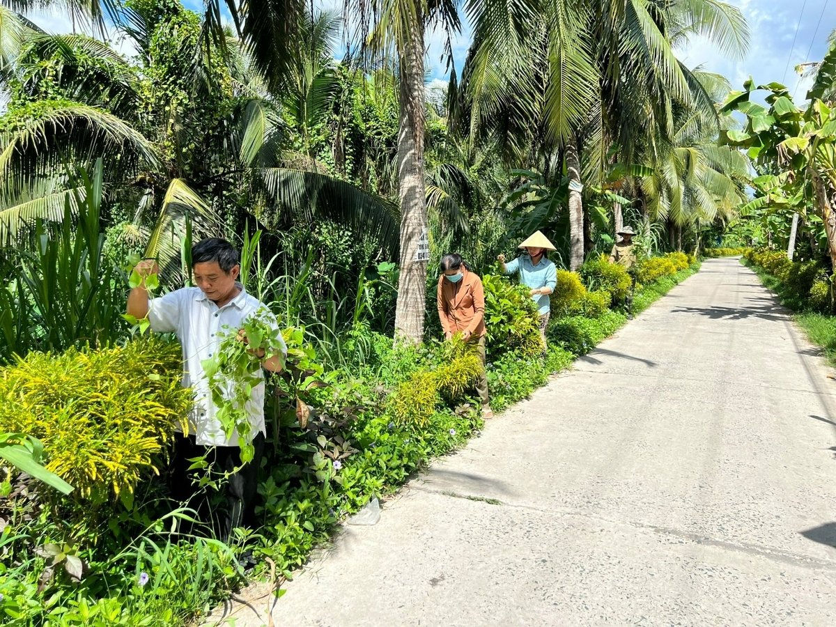 Người dân tham gia cắt tỉa cây xanh, tạo cảnh quan môi trường. Ảnh: Kiều Nhi. Người dân tham gia cắt tỉa cây xanh, tạo cảnh quan môi trường. Ảnh: Kiều Nhi.