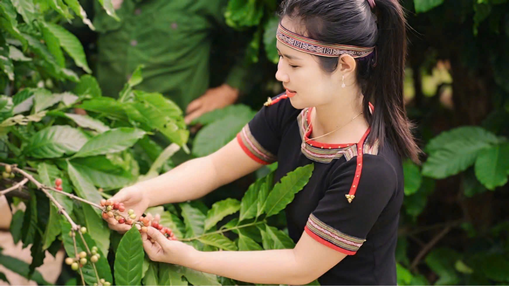 Buôn Ma Thuột không chỉ là một địa danh, đó là 'Thủ phủ cà phê', là linh hồn và niềm tự hào. Ảnh: TT. Buôn Ma Thuột không chỉ là một địa danh, đó là 'Thủ phủ cà phê', là linh hồn và niềm tự hào. Ảnh: TT.