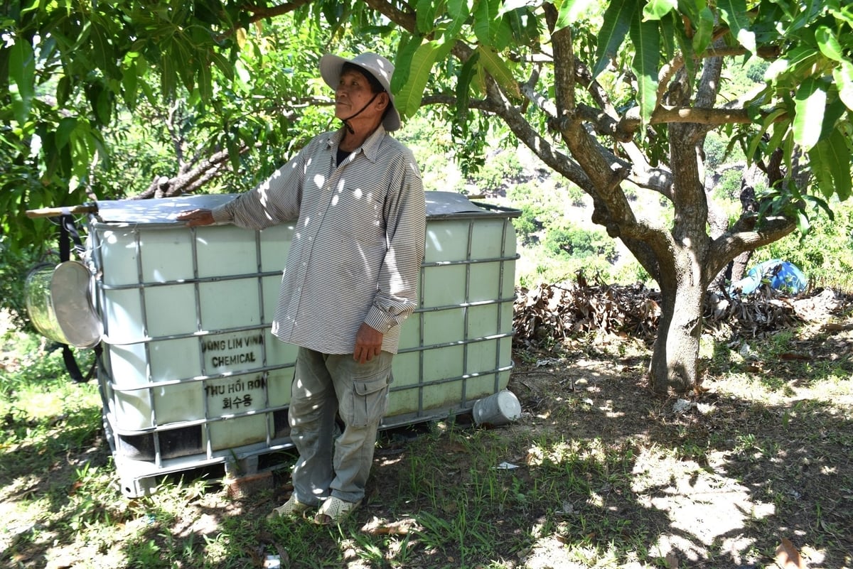 Những chiếc bồn chứa nước được ông Nhàn đặt rải rác trong trang trại, mùa nắng nóng sẽ dùng nước dự trữ tưới cho xoài. Ảnh: V.Đ.T.