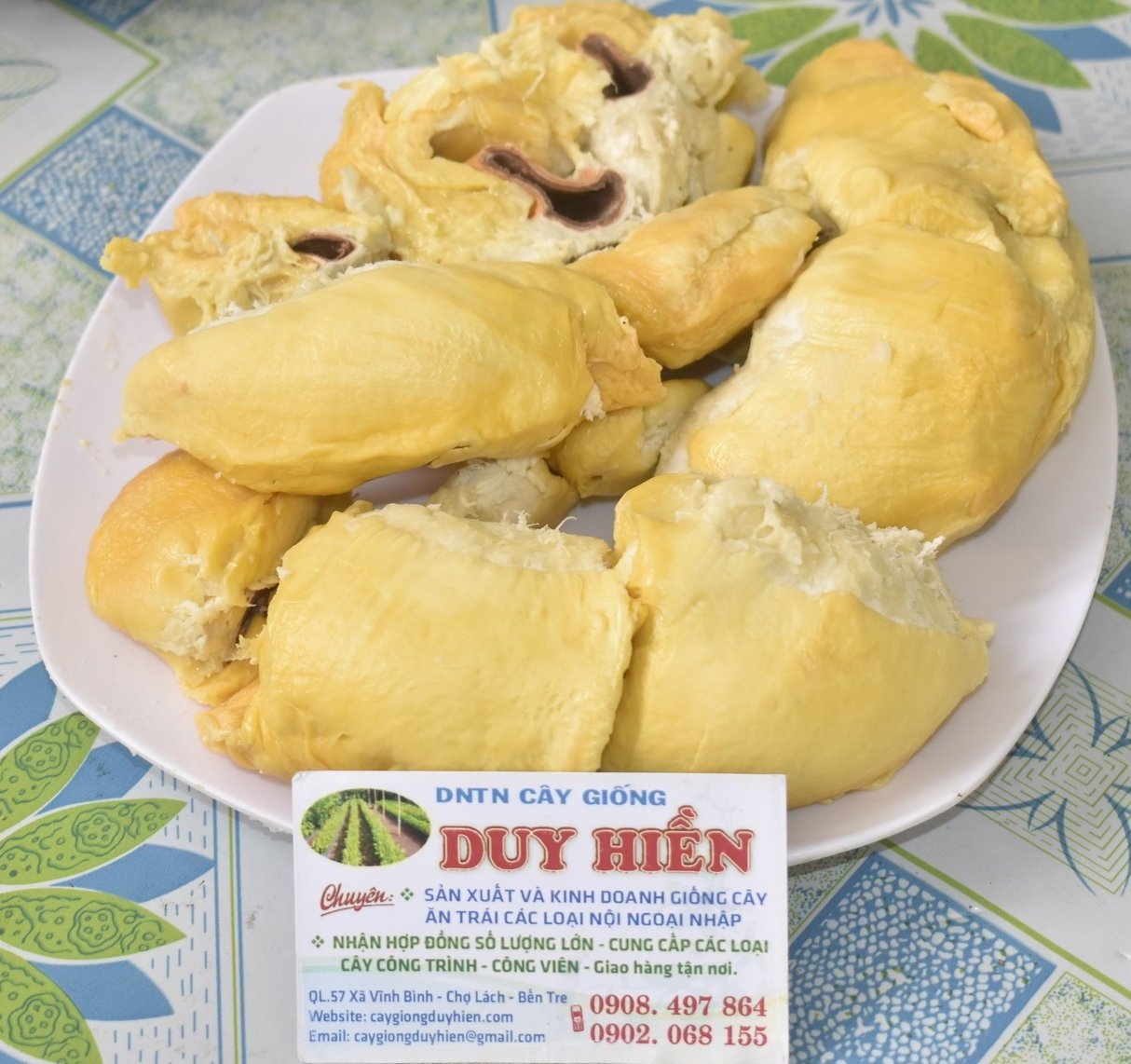 Ngoài thơm ngon, dẻo, sầu riêng Duy Hiền DH1 có độ ngọt cao, rất đậm đà. Ảnh: Kiều Nhi. Ngoài thơm ngon, dẻo, sầu riêng Duy Hiền DH1 có độ ngọt cao, rất đậm đà. Ảnh: Kiều Nhi.