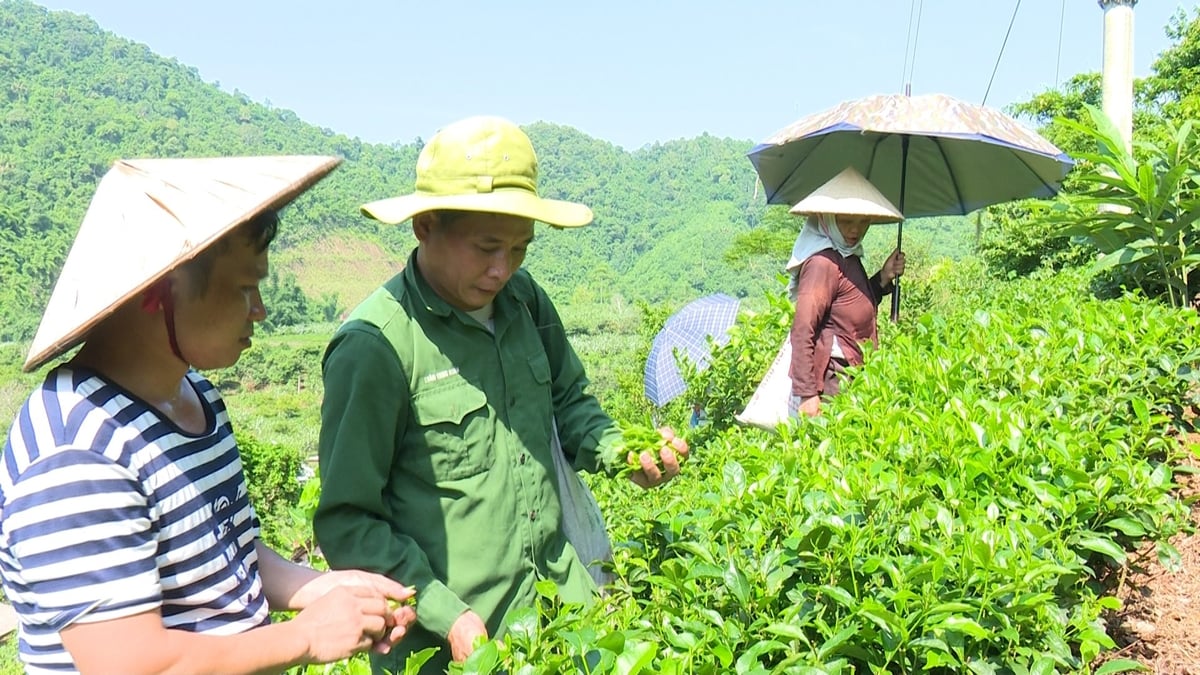 Thôn Phiêng An, xã Quang Thuận (huyện Bạch Thông) dần trở thành điểm du lịch trải nghiệm hấp dẫn du khách. Ảnh: Ngọc Tú. Thôn Phiêng An, xã Quang Thuận (huyện Bạch Thông) dần trở thành điểm du lịch trải nghiệm hấp dẫn du khách. Ảnh: Ngọc Tú.