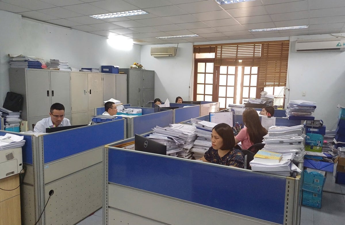 Sở Nông nghiệp và Môi trường Hải Phòng sẽ tiếp tục đẩy mạnh công tác bồi dưỡng, nâng cao trình độ chuyên môn nghiệp vụ cho đội ngũ công chức, viên chức, nhằm đáp ứng yêu cầu trong tình hình mới. Ảnh: Hoàng Phong. Sở Nông nghiệp và Môi trường Hải Phòng sẽ tiếp tục đẩy mạnh công tác bồi dưỡng, nâng cao trình độ chuyên môn nghiệp vụ cho đội ngũ công chức, viên chức, nhằm đáp ứng yêu cầu trong tình hình mới. Ảnh: Hoàng Phong.
