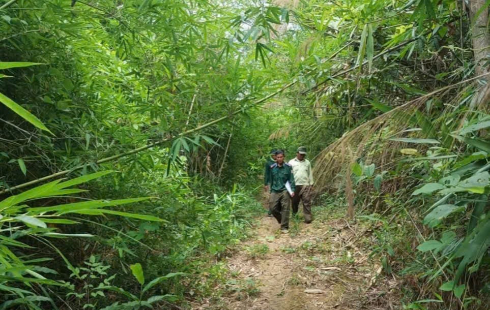 Chính sách dịch vụ môi trường rừng đã giúp nhiều bà con đồng bào thiểu số nhận khoán bảo vệ rừng, cải thiện cuộc sống. Ảnh: KS. Chính sách dịch vụ môi trường rừng đã giúp nhiều bà con đồng bào thiểu số nhận khoán bảo vệ rừng, cải thiện cuộc sống. Ảnh: KS.
