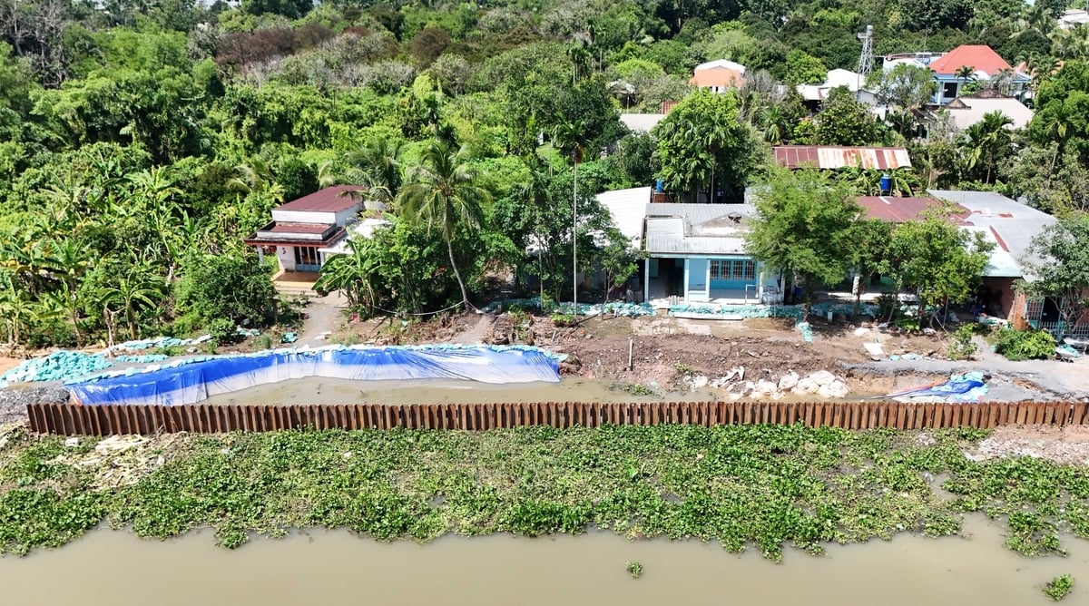 Đoạn sạt lở dài 70m, sâu 10m tại ấp 3, xã Bình Mỹ, huyện Củ Chi, TP.HCM ảnh hưởng tới 6 hộ dân. Ảnh: Lê Bình. Đoạn sạt lở dài 70m, sâu 10m tại ấp 3, xã Bình Mỹ, huyện Củ Chi, TP.HCM ảnh hưởng tới 6 hộ dân. Ảnh: Lê Bình.