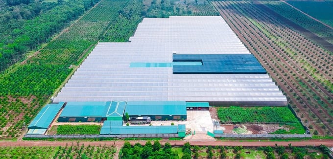 Toàn cảnh Trung tâm Nghiên cứu và Sản xuất giống cây trồng công nghcao TCGROUP Toàn Cầu. Ảnh: Tuấn Anh. Toàn cảnh Trung tâm Nghiên cứu và Sản xuất giống cây trồng công nghcao TCGROUP Toàn Cầu. Ảnh: Tuấn Anh.