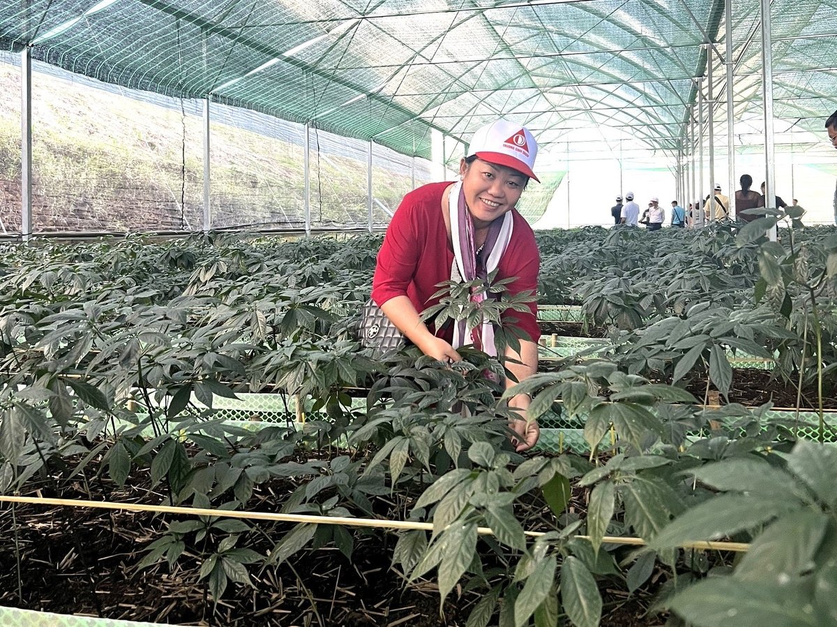 Du khách đến tham quan vườn sâm Ngọc Linh. Ảnh: TA. Du khách đến tham quan vườn sâm Ngọc Linh. Ảnh: TA.