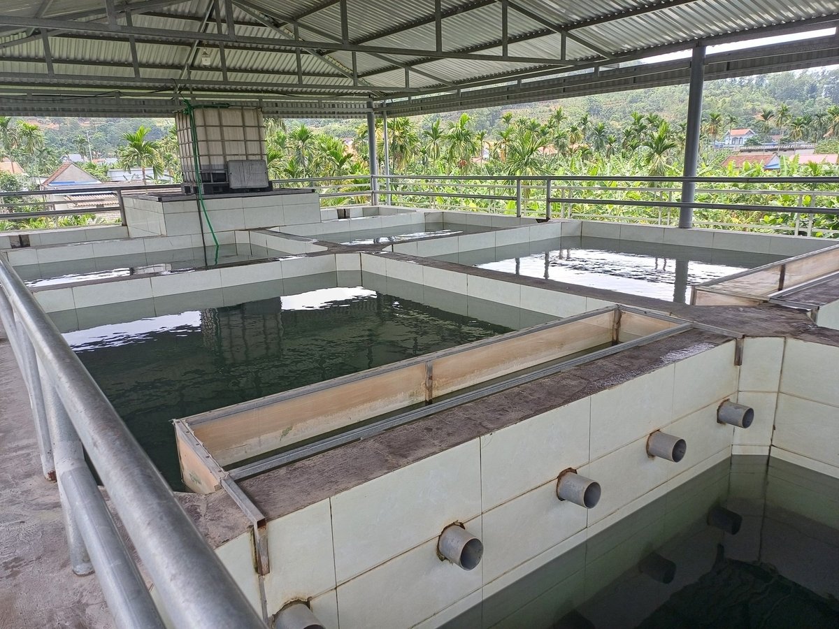 Trên địa bàn thành phố Hải Phòng đã đầu tư xây dựng 161 nhà máy nước sạch nông thôn. Ảnh: Hoàng Phong. Trên địa bàn thành phố Hải Phòng đã đầu tư xây dựng 161 nhà máy nước sạch nông thôn. Ảnh: Hoàng Phong.