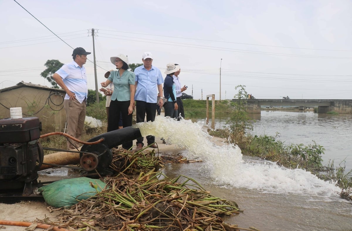 TP Huế vẫn đang tiêu úng lúa sau đợt mưa lũ trái mùa vừa qua. Ảnh: Văn Dinh. TP Huế vẫn đang tiêu úng lúa sau đợt mưa lũ trái mùa vừa qua. Ảnh: Văn Dinh.