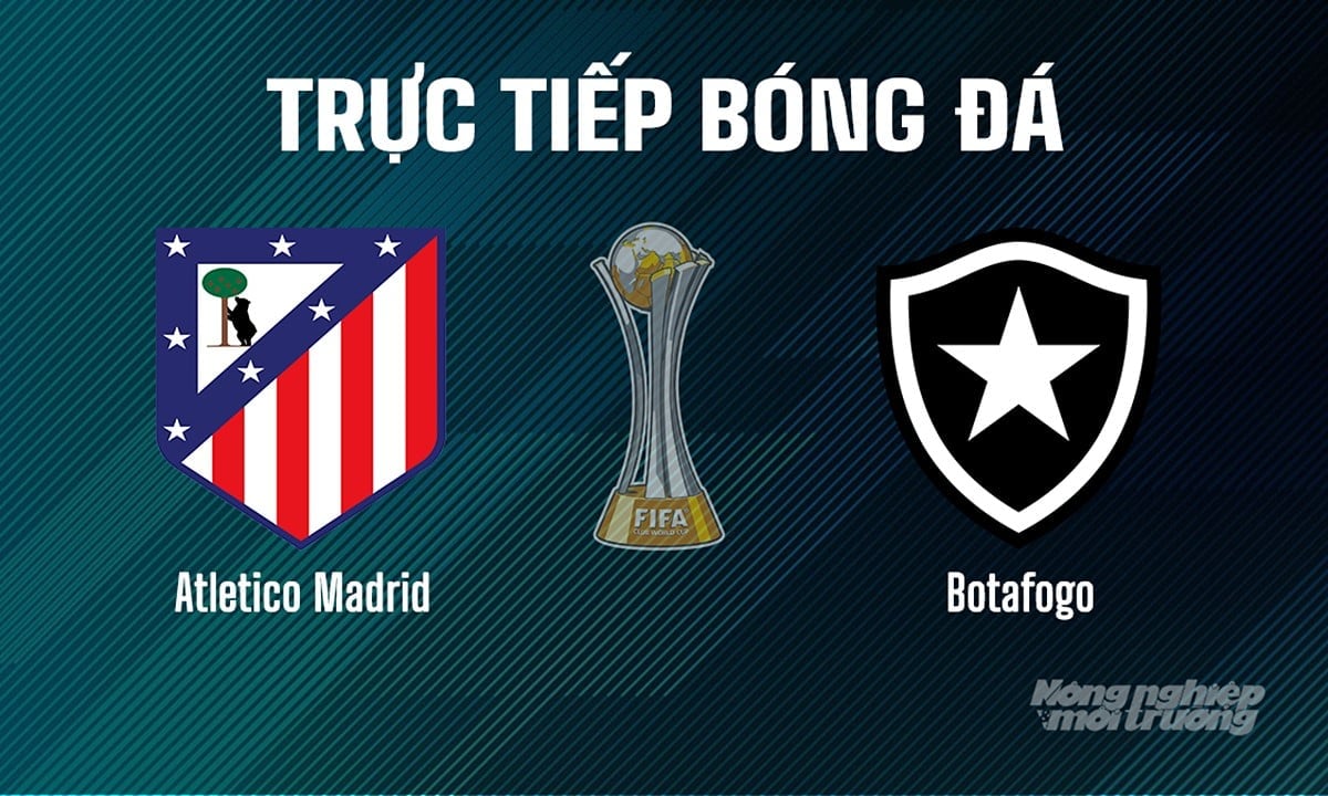 Trực tiếp bóng đá giải FIFA Club World Cup 2025 giữa Atletico Madrid vs Botafogo ngày 24/6/2025 Trực tiếp bóng đá giải FIFA Club World Cup 2025 giữa Atletico Madrid vs Botafogo ngày 24/6/2025