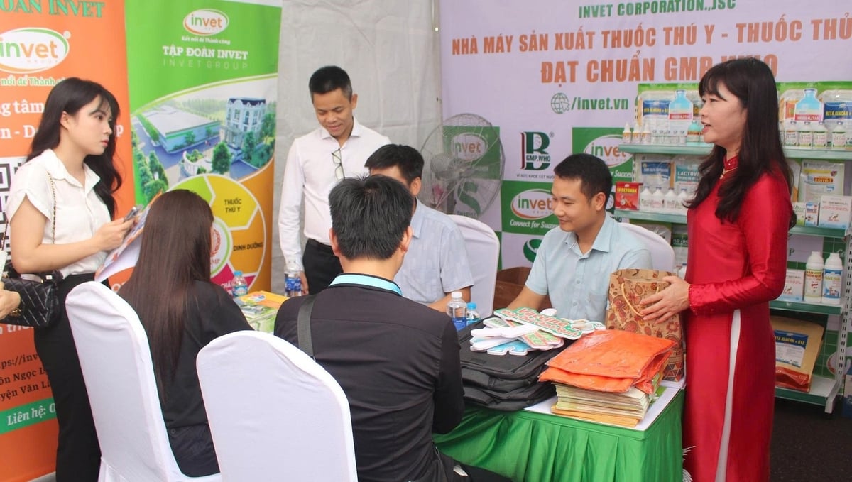 Gian hàng tại ngày hội việc làm do trường Đại học Nông Lâm Thái Nguyên tổ chức. Ảnh: Quang Linh. Gian hàng tại ngày hội việc làm do trường Đại học Nông Lâm Thái Nguyên tổ chức. Ảnh: Quang Linh.